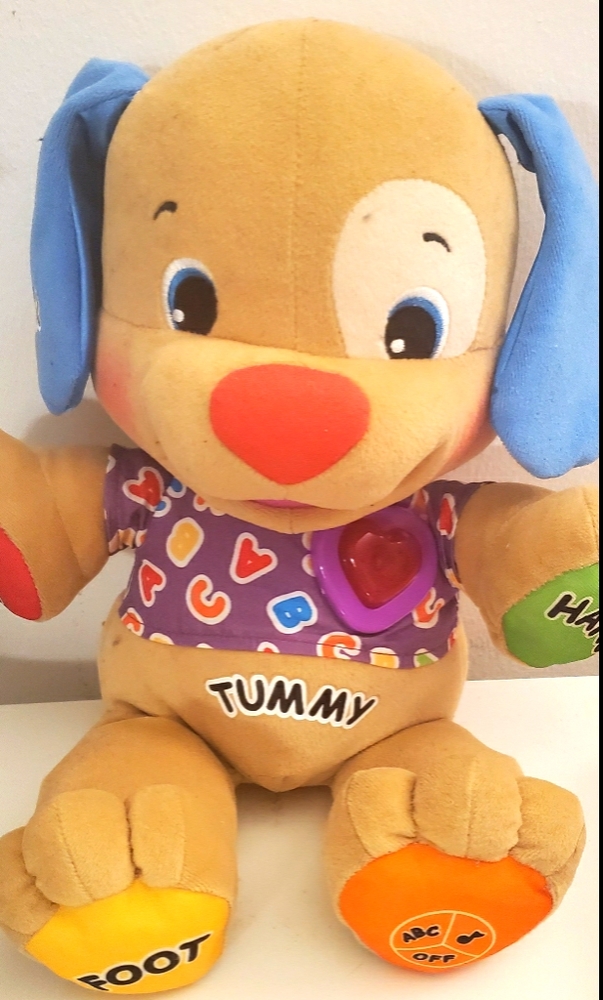 Singing talking teddy bear